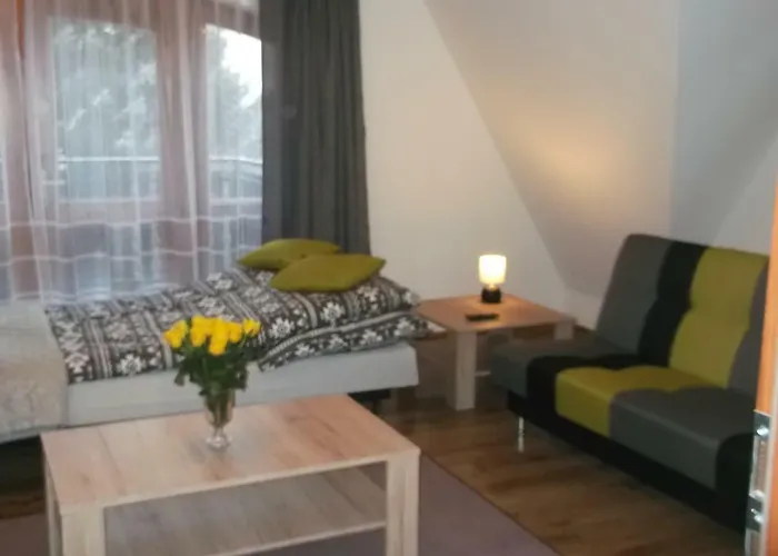 Apartamenty Lejowka