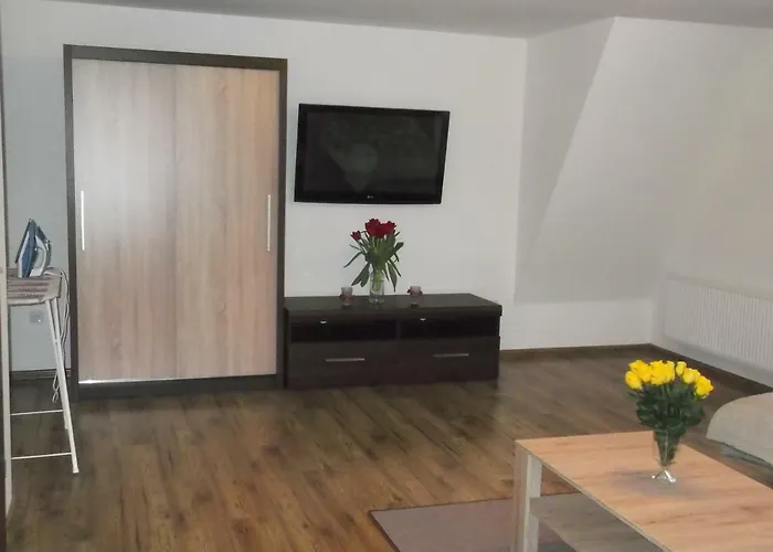 Apartamenty Lejowka