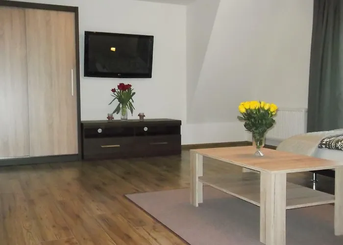 Apartamenty Lejowka