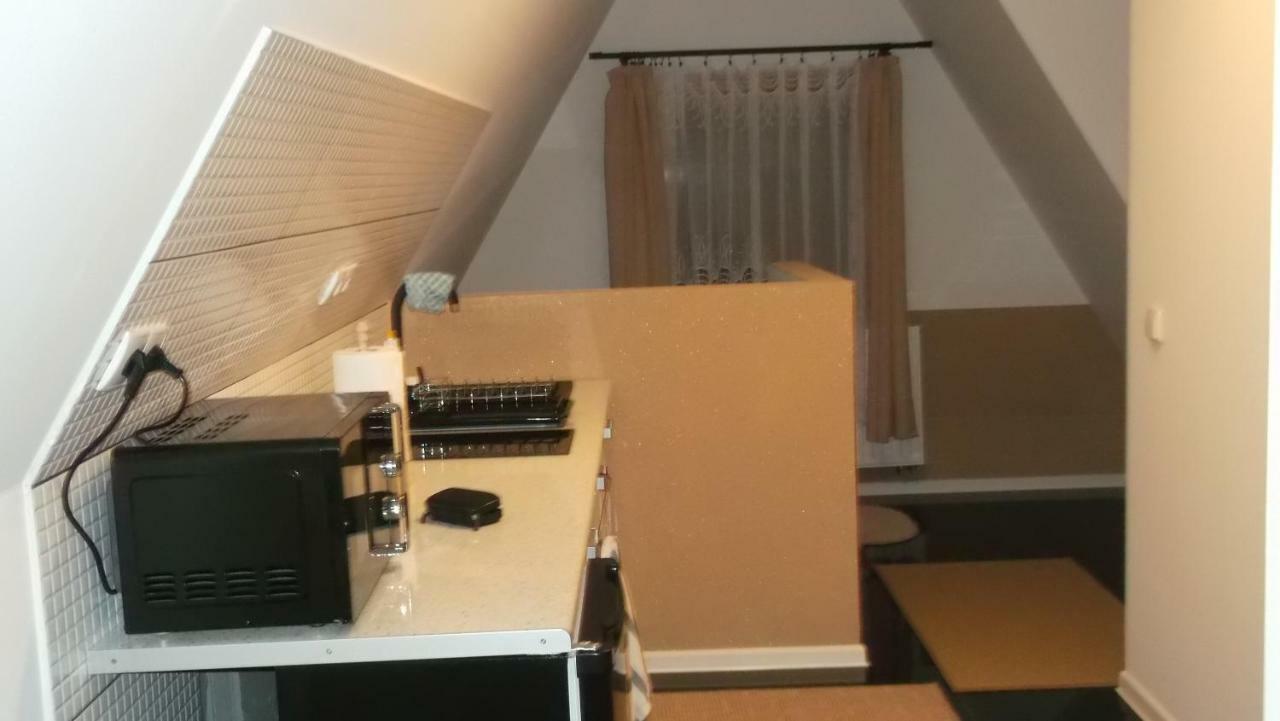 Apartment Lejowka