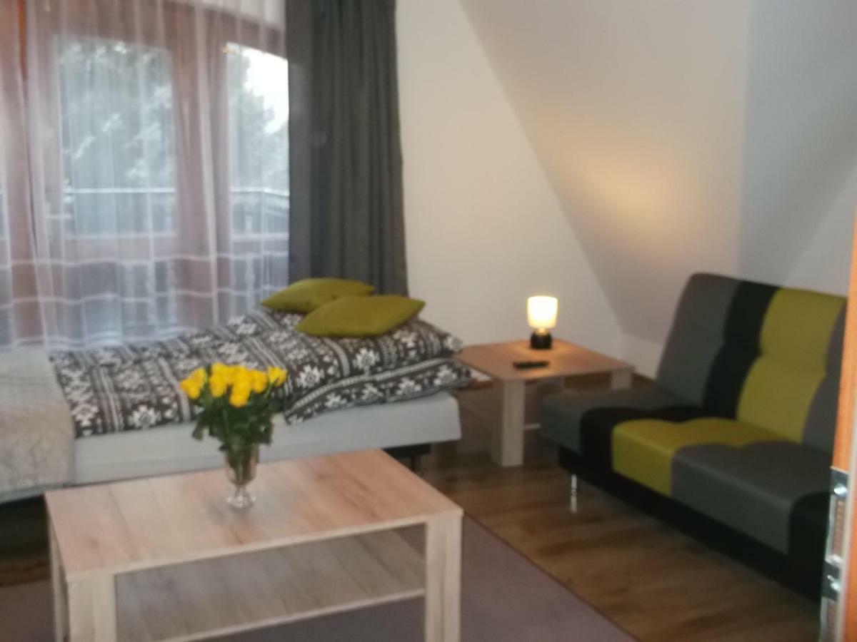 Apartment Lejowka